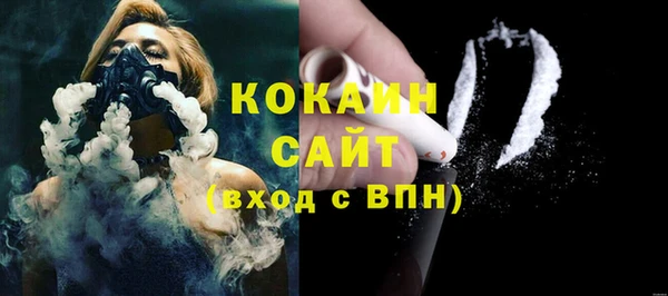 PSILOCYBIN Каменногорск