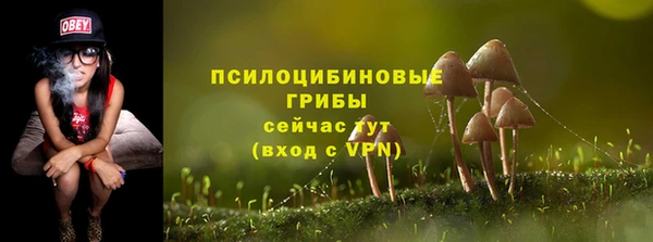 эйфоретик Лихославль
