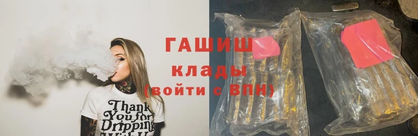 PSILOCYBIN Каменногорск