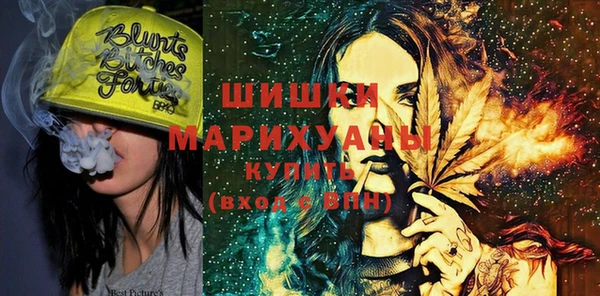 PSILOCYBIN Каменногорск
