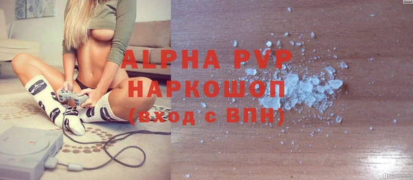 PSILOCYBIN Каменногорск
